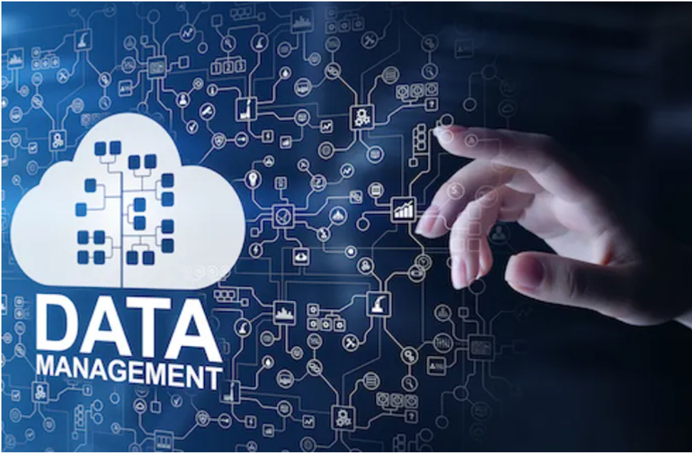 Data Management is Essential to Organizational Success: An overview of its components