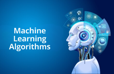 Machine Learning Algorithms